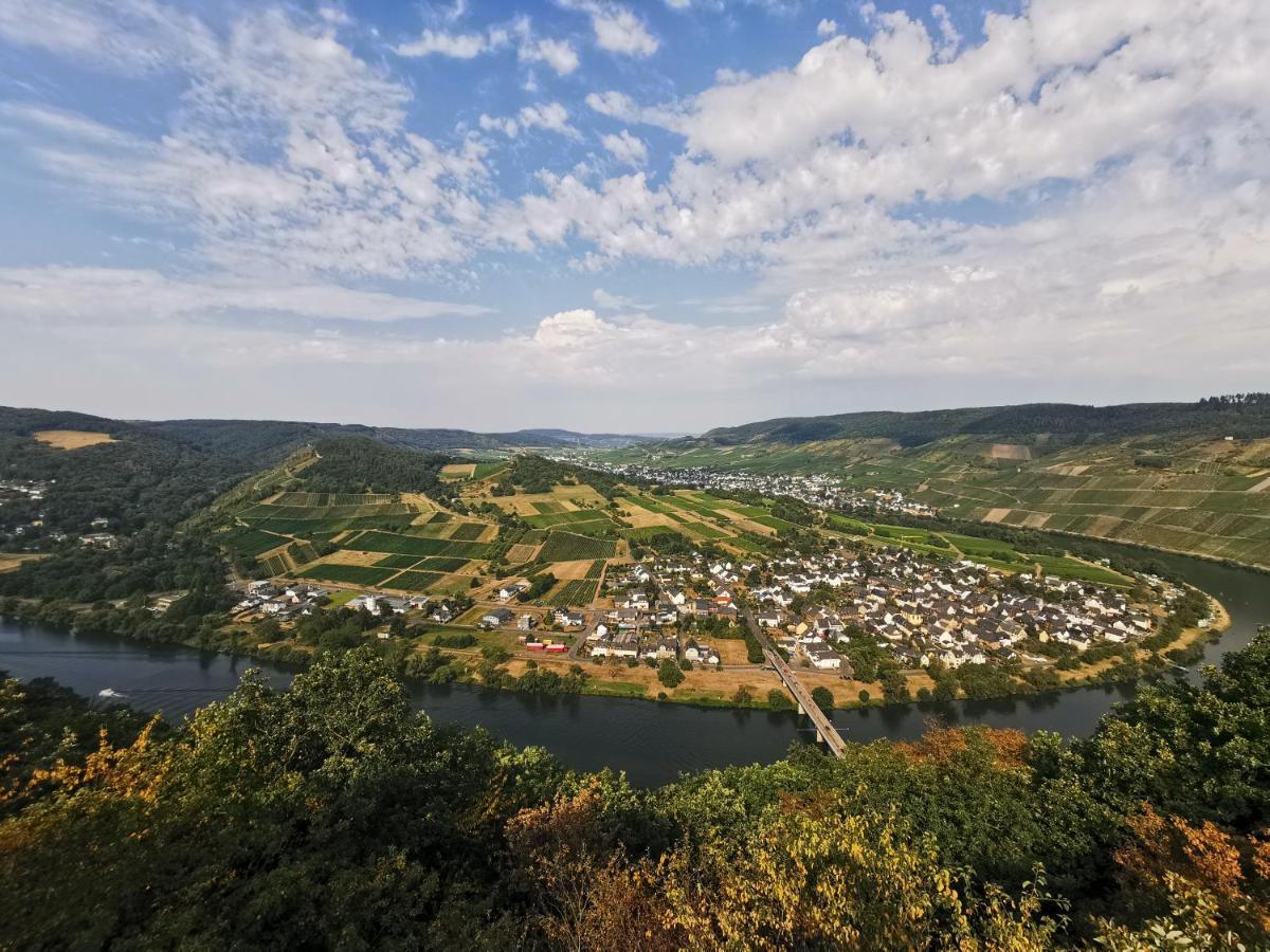 Ferienwohnung Moselpanorama Трабен-Трарбах Экстерьер фото