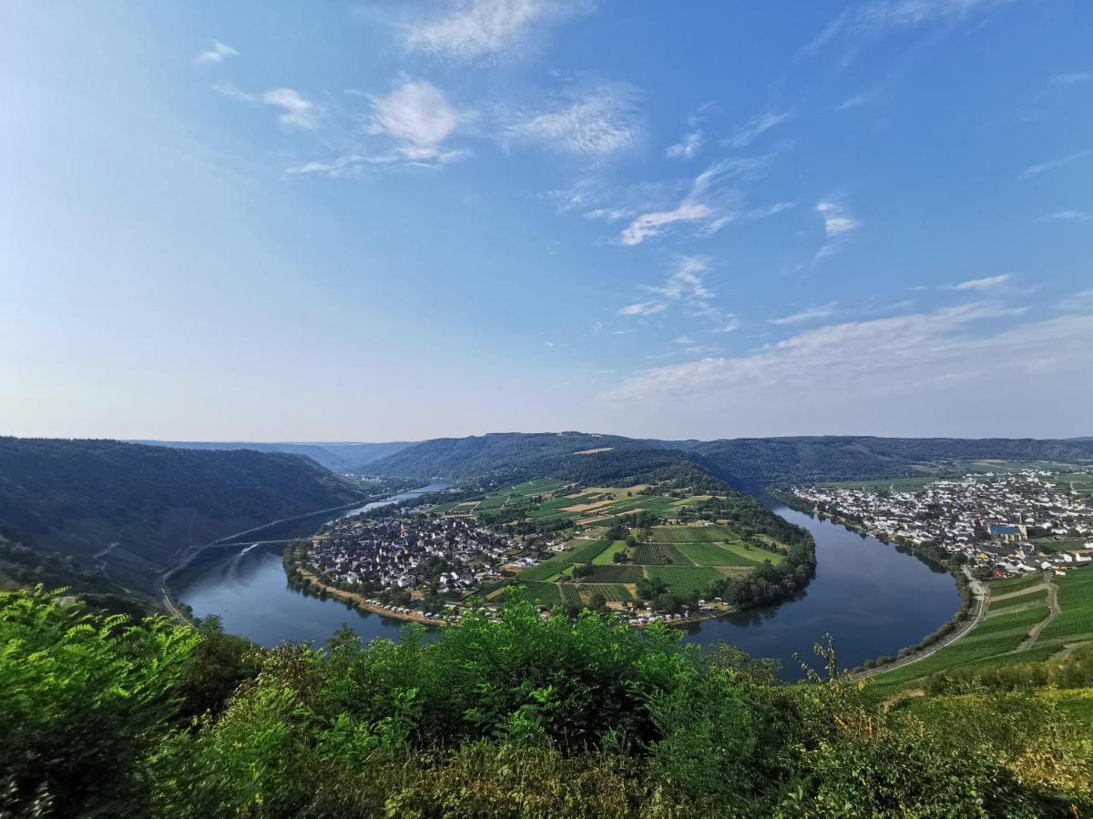 Ferienwohnung Moselpanorama Трабен-Трарбах Экстерьер фото